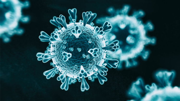 เผยไวรัส COVID-19 ส่งผลกระทบสำคัญต่อซัพพลายเชนยุคโลกาภิวัตน์